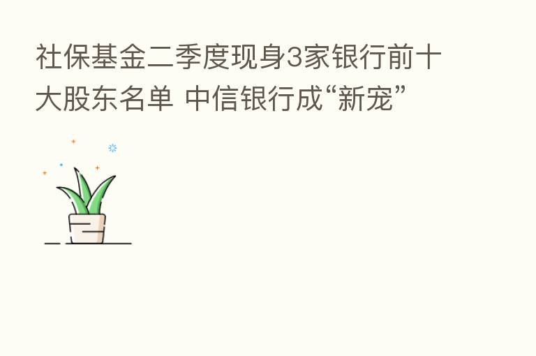 社保基金二季度现身3家银行前十大股东名单 中信银行成“新宠”
