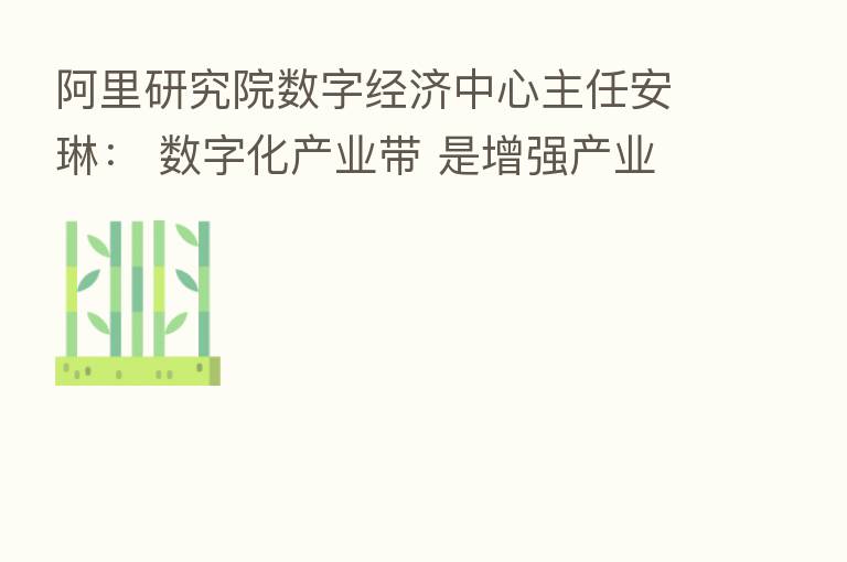 阿里研究院数字经济中心主任安琳: 数字化产业带 是增强产业韧性与活力的重要支撑