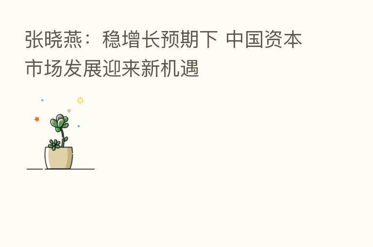 张晓燕:稳增长预期下 中国资本市场发展迎来新机遇