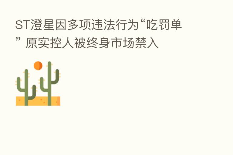 ST澄星因多项违法行为“吃罚单” 原实控人被终身市场禁入