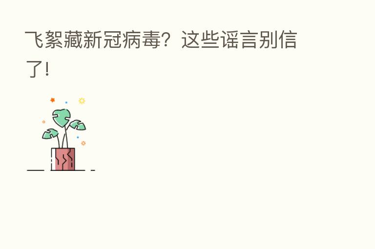 飞絮藏新冠病毒?这些谣言别信了!