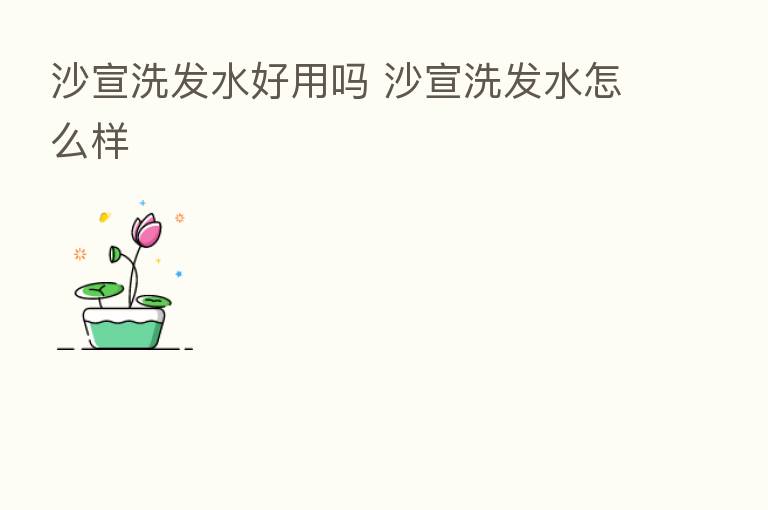 沙宣洗发水好用吗 沙宣洗发水怎么样