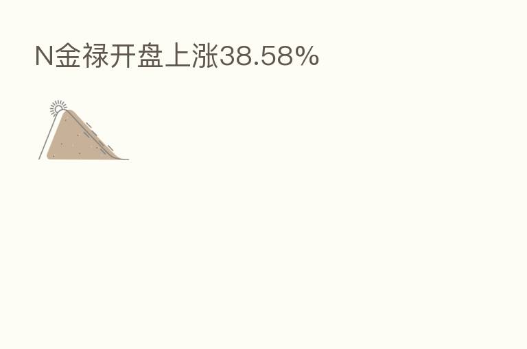 N金禄开盘上涨38.58%