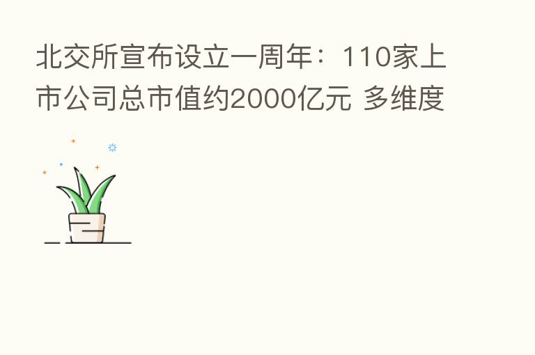 北交所宣布设立一周年:110家上市公司总市值约2000亿元 多维度打造创新型中小企业主阵地