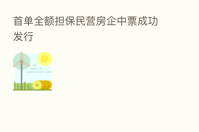 首单全额担保民营房企中票成功发行