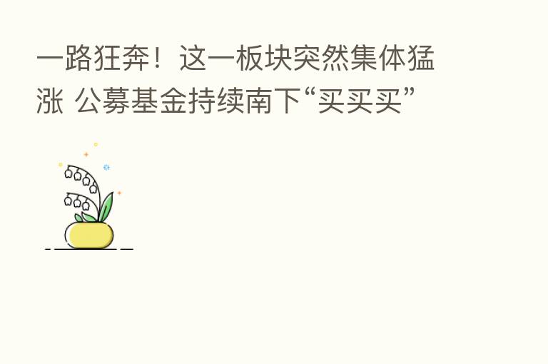 一路狂奔!这一板块突然集体猛涨 公募基金持续南下“买买买”!互联网大厂业绩超预期