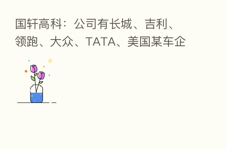 国轩高科:公司有长城、吉利、领跑、大众、TATA、美国某车企等客户
