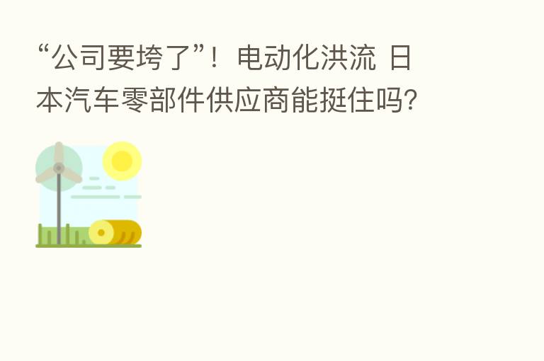 “公司要垮了”！电动化洪流 日本汽车零部件供应商能挺住吗？