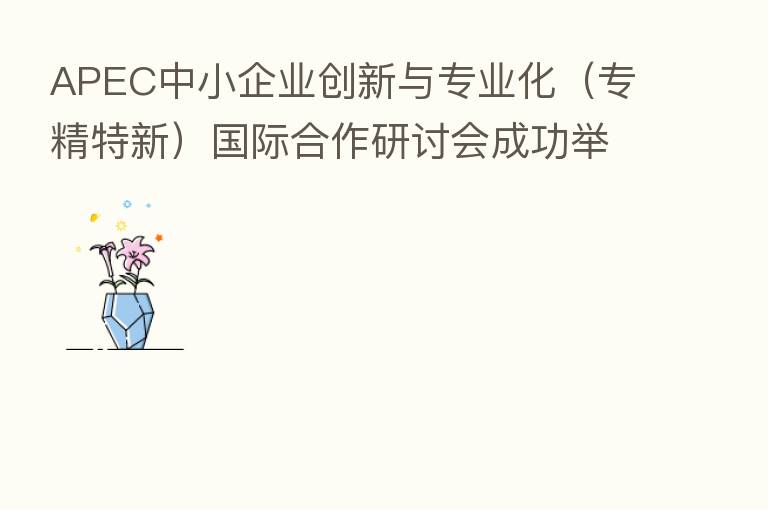 APEC中小企业创新与专业化(专精特新)国际合作研讨会成功举办