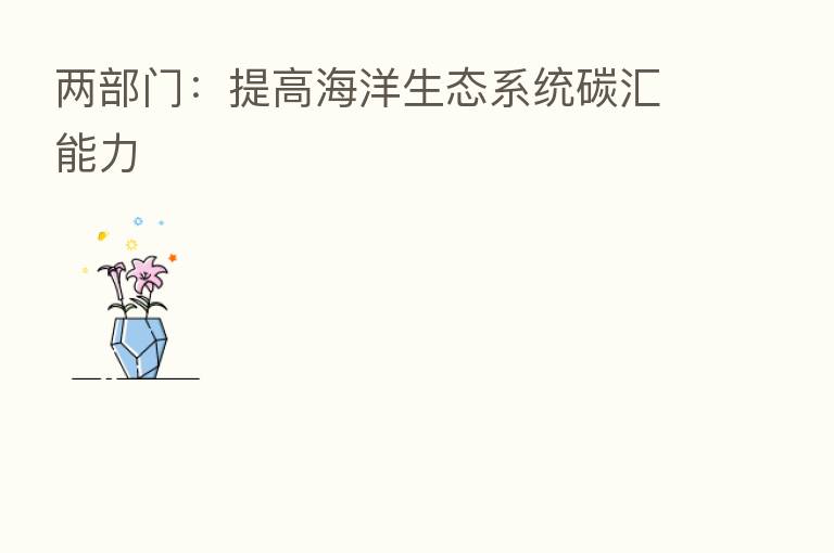 两部门：提高海洋生态系统碳汇能力