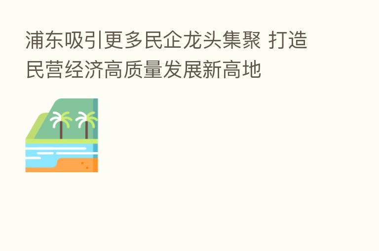 浦东吸引更多民企龙头集聚 打造民营经济高质量发展新高地