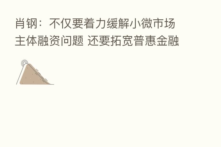 肖钢:不仅要着力缓解小微市场主体融资问题 还要拓宽普惠金融业务范围