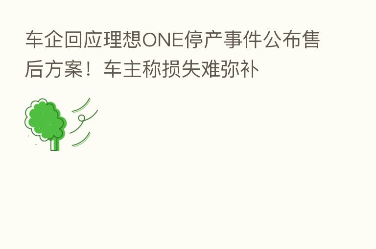 车企回应理想ONE停产事件公布售后方案!车主称损失难弥补