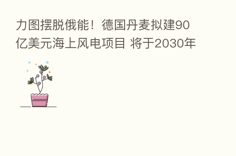 力图摆脱俄能!德国丹麦拟建90亿美元海上风电项目 将于2030年运营