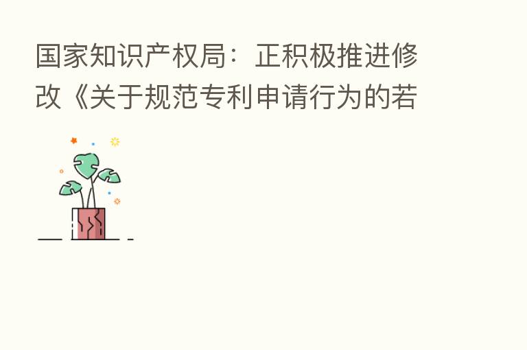 国家知识产权局:正积极推进修改《关于规范专利申请行为的若干规定》