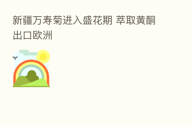 新疆万寿菊进入盛花期 萃取黄酮出口欧洲