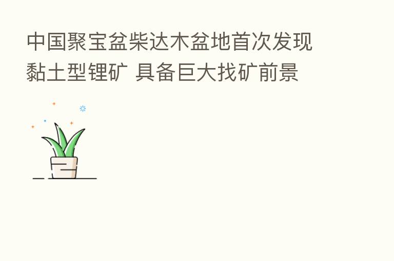 中国聚宝盆柴达木盆地首次发现黏土型锂矿 具备巨大找矿前景
