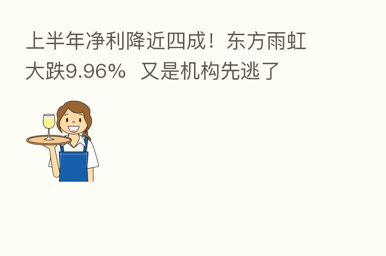 上半年净利降近四成！东方雨虹大跌9.96%  又是机构先逃了