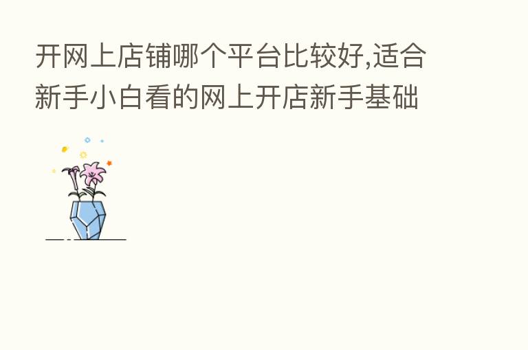 开网上店铺哪个平台比较好,适合新手小白看的网上开店新手基础篇
