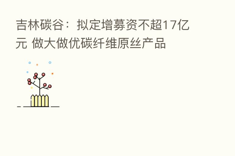 吉林碳谷:拟定增募资不超17亿元 做大做优碳纤维原丝产品