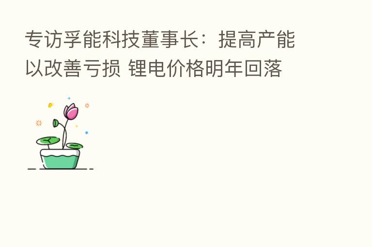 专访孚能科技董事长:提高产能以改善亏损 锂电价格明年回落