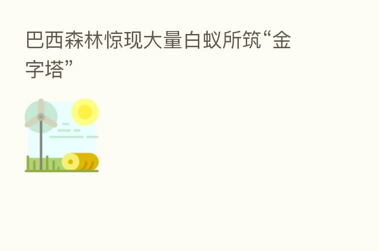 巴西森林惊现大量白蚁所筑“金字塔”