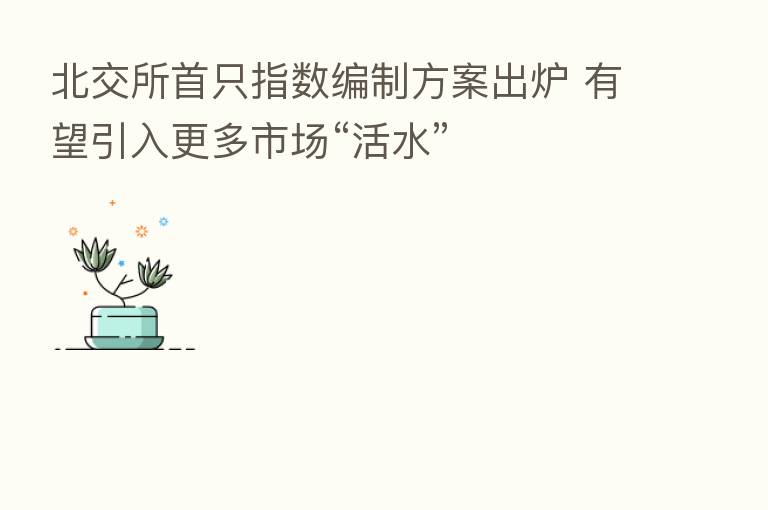 北交所首只指数编制方案出炉 有望引入更多市场“活水”