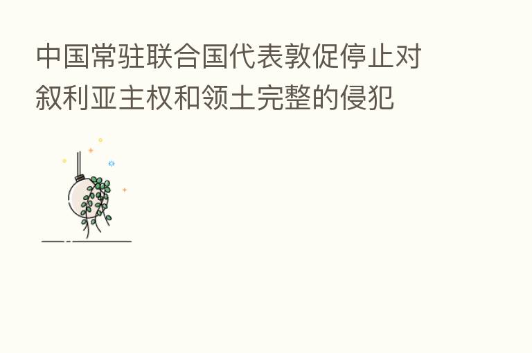 中国常驻联合国代表敦促停止对叙利亚主权和领土完整的侵犯