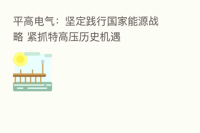 平高电气:坚定践行国家能源战略 紧抓特高压历史机遇