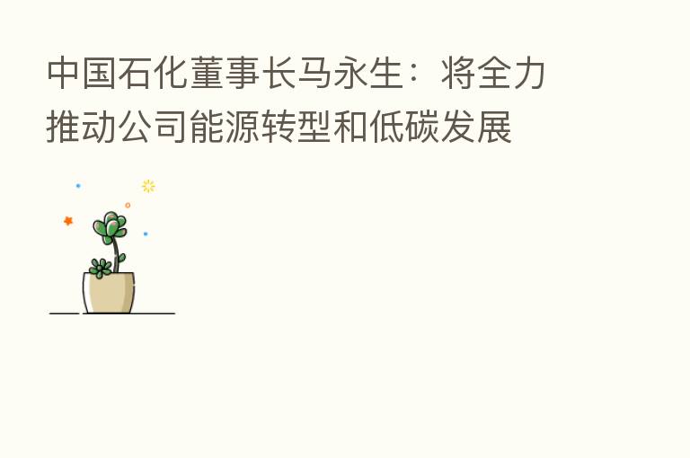 中国石化董事长马永生:将全力推动公司能源转型和低碳发展