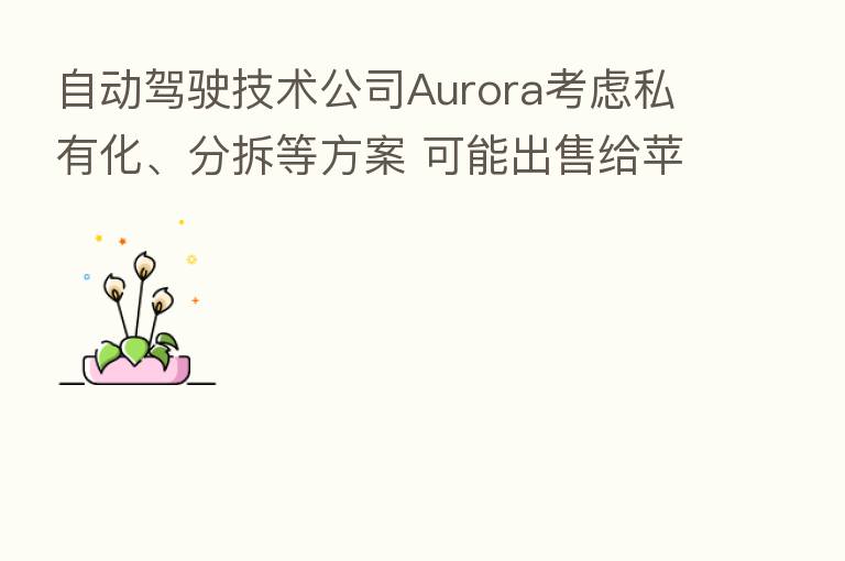 自动驾驶技术公司Aurora考虑私有化、分拆等方案 可能出售给苹果或微软