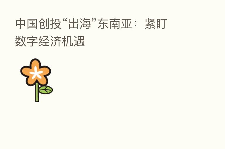 中国创投“出海”东南亚:紧盯数字经济机遇