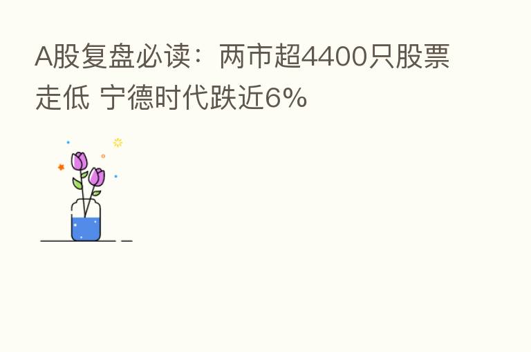 A股复盘必读：两市超4400只股票走低 宁德时代跌近6%