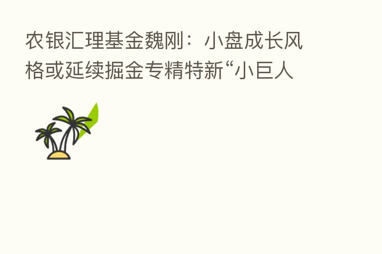 农银汇理基金魏刚：小盘成长风格或延续掘金专精特新“小巨人”
