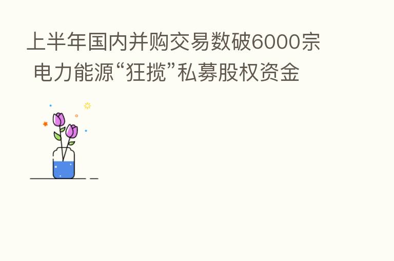 上半年国内并购交易数破6000宗 电力能源“狂揽”私募股权资金300亿美元