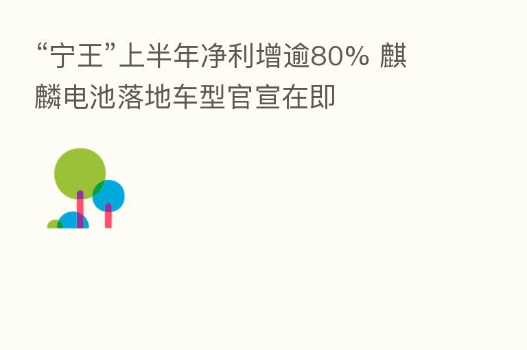 “宁王”上半年净利增逾80% 麒麟电池落地车型官宣在即
