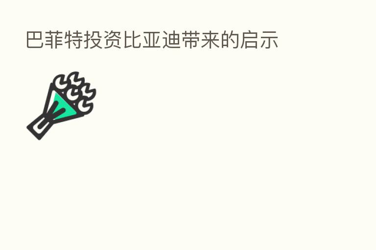 巴菲特投资比亚迪带来的启示