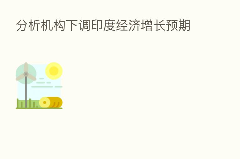 分析机构下调印度经济增长预期