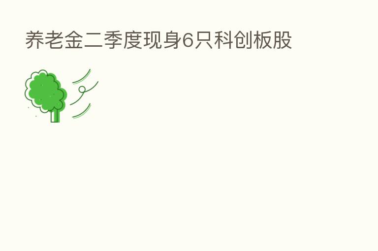 养老金二季度现身6只科创板股