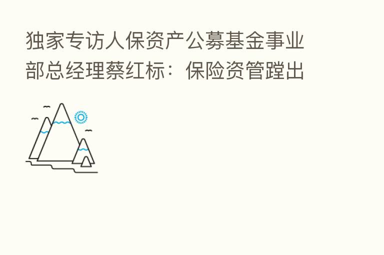 独家专访人保资产公募基金事业部总经理蔡红标: 资管蹚出公募新路