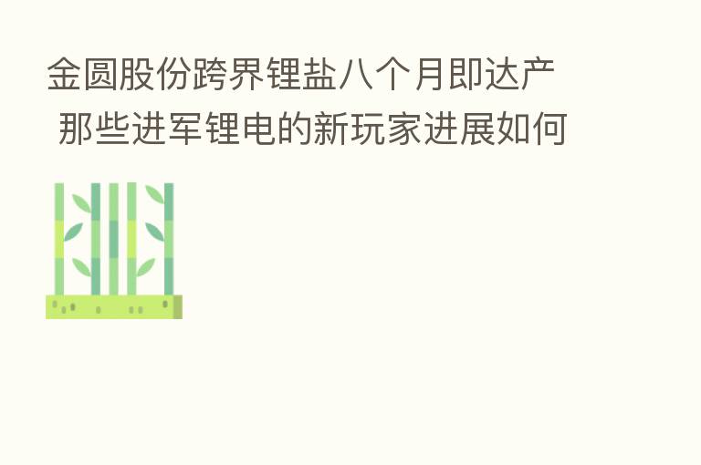 金圆股份跨界锂盐八个月即达产 那些进军锂电的新玩家进展如何?