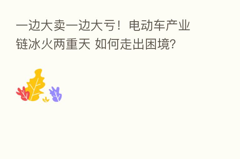 一边大卖一边大亏！电动车产业链冰火两重天 如何走出困境？