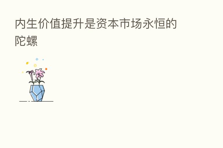 内生价值提升是资本市场永恒的陀螺