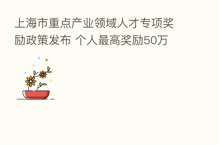 上海市重点产业领域人才专项奖励政策发布 个人 高奖励50万