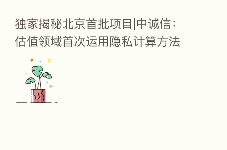 独家揭秘北京首批项目|中诚信:估值领域首次运用隐私计算方法