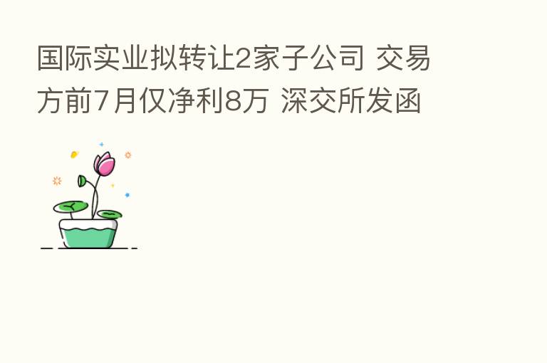 国际实业拟转让2家子公司 交易方前7月仅净利8万 深交所发函