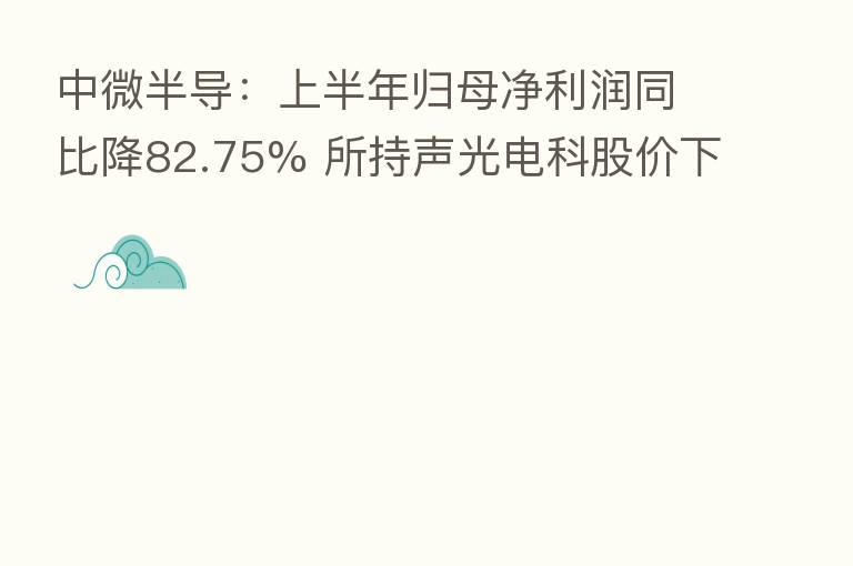 中微半导：上半年归母净利润同比降82.75% 所持声光电科股价下降造成公允价值变动损益-8197.07万元