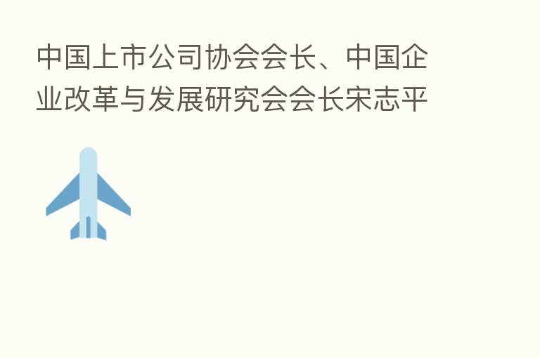 中国上市公司协会会长、中国企业改革与发展研究会会长宋志平:上市公司要妥善使用衍生品工具