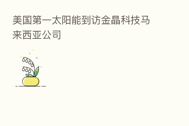 美国 一太阳能到访金晶科技马来西亚公司