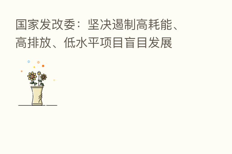 国家发改委：坚决遏制高耗能、高排放、低水平项目盲目发展